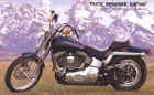 Springersoftail