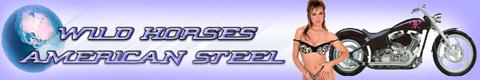 aamericansteel